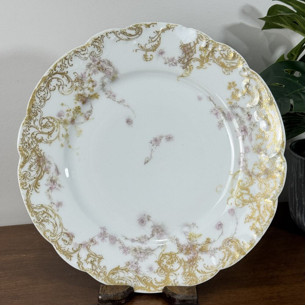 Haviland & Co. Limoges France Collector Plate Gold Gilt Floral Scalloped Rim